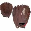 Rawlings Player Preferred 14 Inch P140BPS Slowpitch Softball Glove